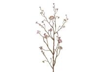 4Living Blueberry spray 77 cm assortment