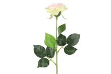 4Living Rose single 52 cm assortment