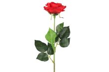 4Living Rose single 52 cm assortment