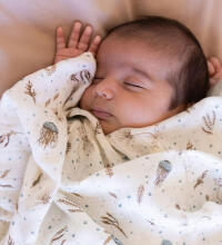 Aden Anais Muslin Swaddles Art.251311 Primrose High quality bamboo muslin swaddle, 1 pc. (120x120 cm)