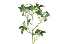 4Living Mistletoe spray 64 cm
