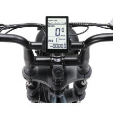 Elektriskais velosipēds APE RYDER 20 A10 melns