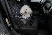 Car Pet Carrier for Cat or Dog Petsi