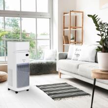 Webber AP9650 air purifier