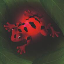 Zoology - Light-up toad glow in the dark, 3 assorted
