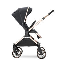 Lorelli Reya 2 in1 Art.10022072501 Black Jasper Universal stroller 2 in 1