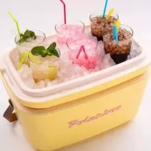 Polarbox Cool Box Retro Cooler Art.255944 Coral Camping refrigerator 20L