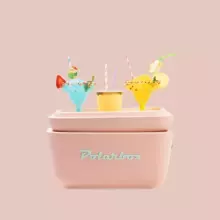 Polarbox Cool Box Retro Cooler Art.255944 Coral Camping refrigerator 20L