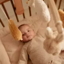 Little Dutch Musicale Mobile Art.8400 Newborn Natural