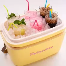 Polarbox Cool Box Retro Cooler Art.256938 Pink Camping Refrigerator 12L