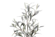 4Living Olive stem 60 cm