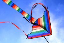BebeBee Air Kite Art.8226148