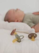 Bibs Studio Colour Round Art.257316 Woodhuck Pacifier, 100% natural  18+  (2pcs)