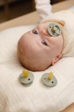 Bibs Studio Colour Round Art.257319 Woodhuck  Pacifier, 100% natural  0-6  (2pcs)