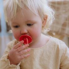 Frigg Daisy Round Latex Art.101593 Pink Cream/Poppy Pacifier (nipple) made of 100% natural rubber 0-6 months (2 pcs.)