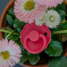 Frigg Daisy Round Latex Night Art.76221537 Cream/ French Gray Pacifier (nipple) made of 100% natural rubber 0-6 months (2 pcs.)