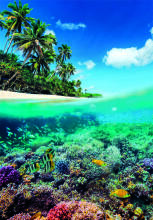 CLEMENTONI Puzzle summer paradise, 1000 pcs,, 39931