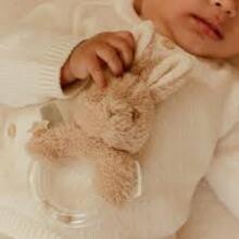 Little Dutch Ring Rattle Art.8414 Bunny