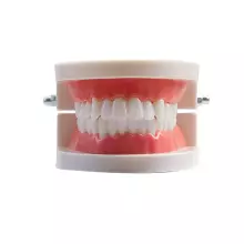 Doctor Set Smile Dentist Teeth Art.260086 Young/brave dentist set - Superhero smile