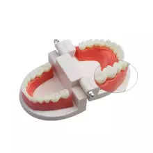 Doctor Set Smile Dentist Teeth Art.260086 Young/brave dentist set - Superhero smile