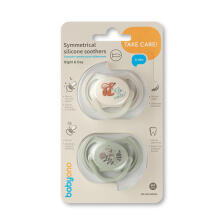 1669/02 SYMMETRICAL SILICONE PACIFIER 6-18