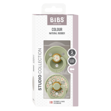 Bibs Studio Colour Round Fusion Art.263672 Jasmine Sage Mix Pacifier, 100% natural  6-18  (2pcs)