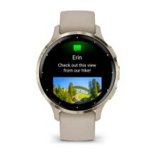 Garmin Venu 3S 41mm grey/soft gold (010-02785-02)