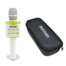 BONTEMPI rechargeable microphone with speaker and case, 48 5120