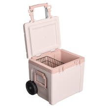 The Easy-Carry Outdoor Wheeled Cooler 47L light pink