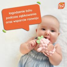 RaZberry Grip Silicone Teether, Pink, RaZbaby