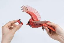 MAKEBUG 3D Paper puzzle American Cardinal, MB-D-0055