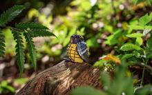 MAKEBUG 3D Paper puzzle Yellow-bellied Tit, MB-D-0003
