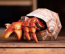 MAKEBUG 3D Paper puzzle Hermit Crab, MB-B-0008