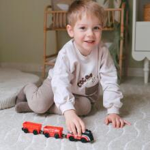 WOOPIE Electric Train Set Locomotive Track Farm Animals 70 pcs