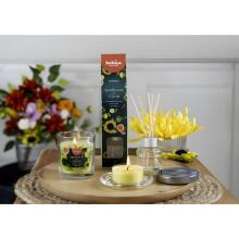 Svece arom. stikla gl. Floral Fusion &Oslash;80x72mm sunflower &amp;amp; citrus 