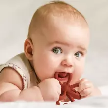Haakaa Silicone Teether Clover Art.TPS038-OT  Silicone rattle (100% natural)