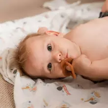Haakaa Silicone Dummy  Art.TPS006-A Apricot Natural anatomical 3+ month