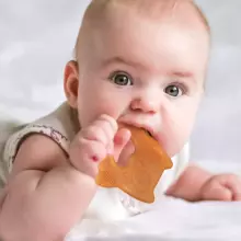 Haakaa Silicone Owl Teether  Art.TPS035  Silicone rattle (100% natural)