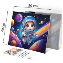 Painting by Numbers Image 40x50 cm Massido Astronaut