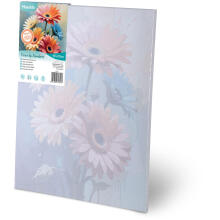 Painting by Numbers Image 40x50 cm Massido Flowers