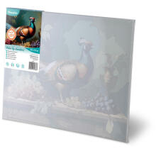 Painting by Numbers Image 40x50 cm Massido Pheasant