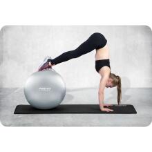 65 cm Exercise Ball NS-951 Silver