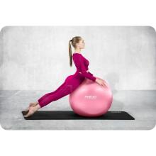 Exercise Ball 55 cm NS-950 Pink