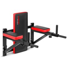 Wall Dip Bar NS-320