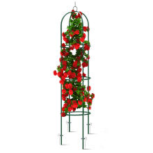Dārza pergolas kolonna 200 cm Plonos PL-992
