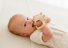 GILIGUMS GG 30073 Axolotls Teether Beigā