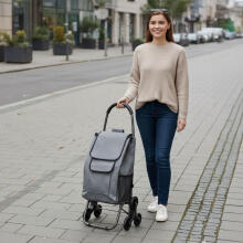 Shopping Trolley with Bag 33 Liters Triple Wheels Additional Pockets ModernHome