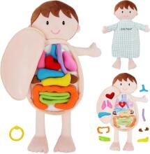 Bebe Basic Doll Boy Art.KX2954 Educational doll for studying anatomy