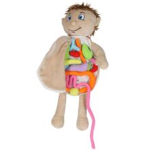 Bebe Basic Doll Boy Art.KX2954 Educational doll for studying anatomy