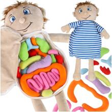 Bebe Basic Doll Boy Art.KX2954 Educational doll for studying anatomy